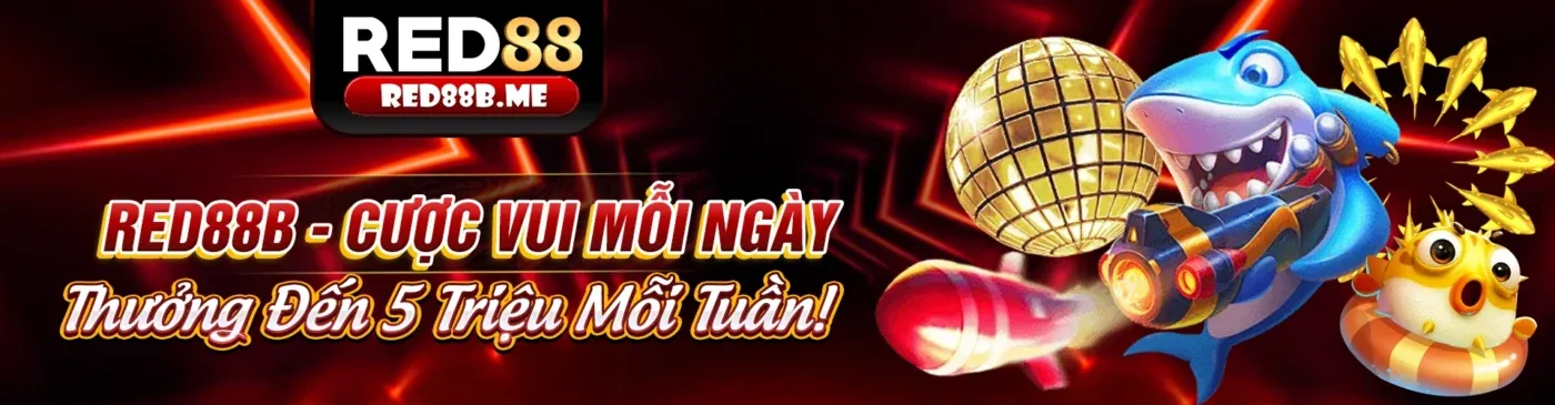 Thư viện bài viết chia sẻ kinh nghiệm tại RickVIP